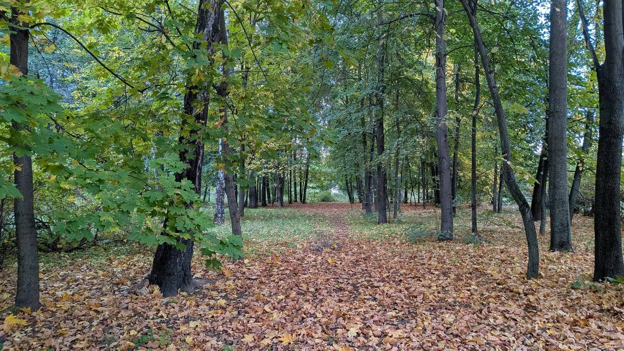 Осенняя Преображенка на снимках от соседа 🙌🏻
