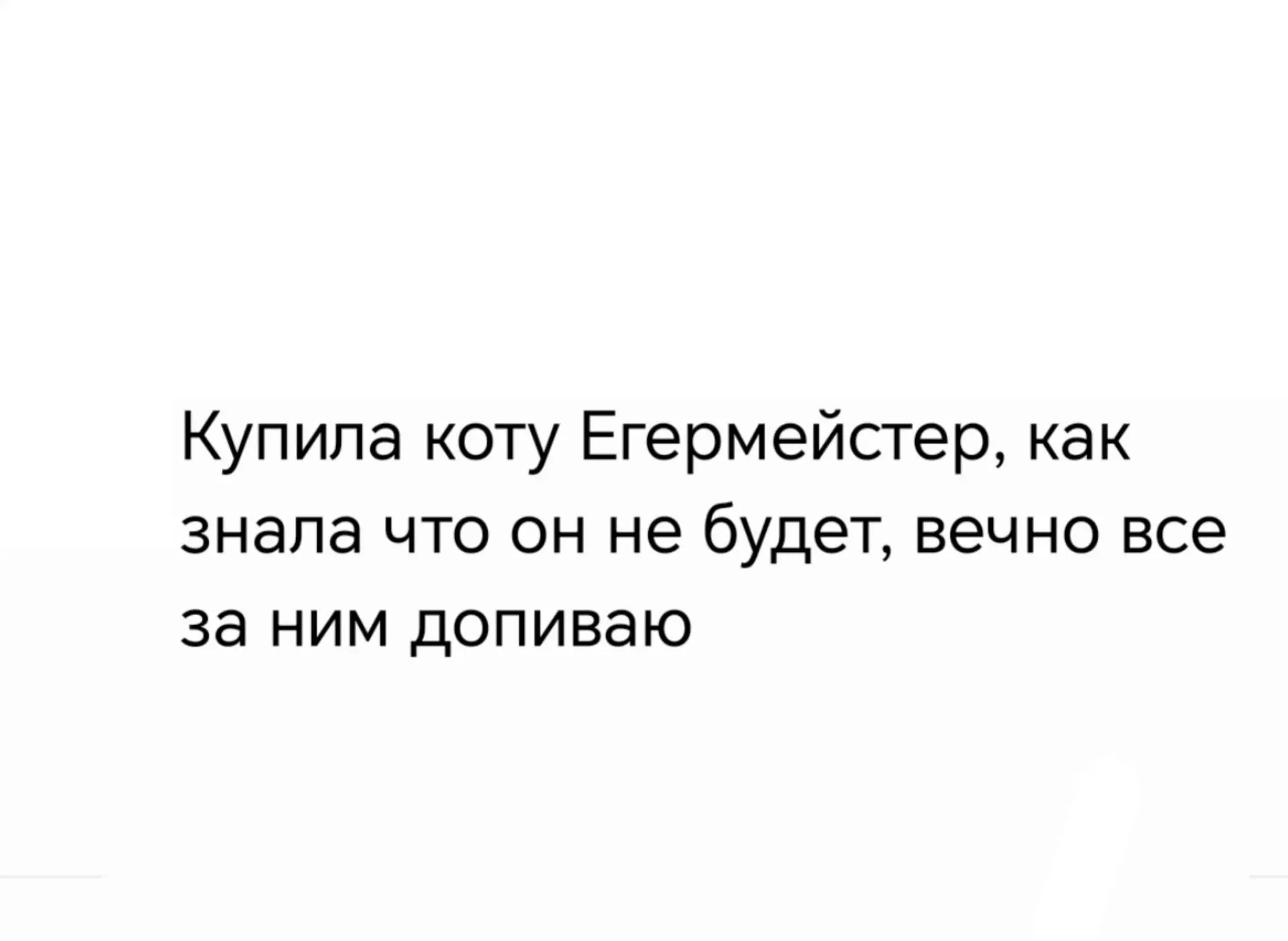 Надеюсь, в пятницу все купили коту что-нибудь вкусное?😉 #мемнаночь