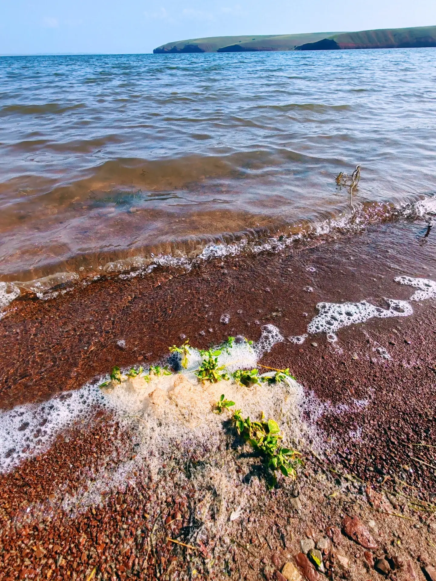 Красные пески Братского моря.