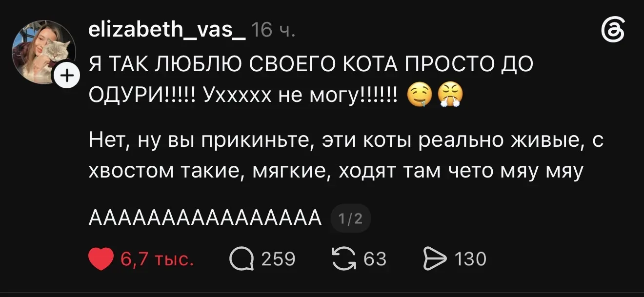 вот уже 11 лет у меня только такие эмоции
