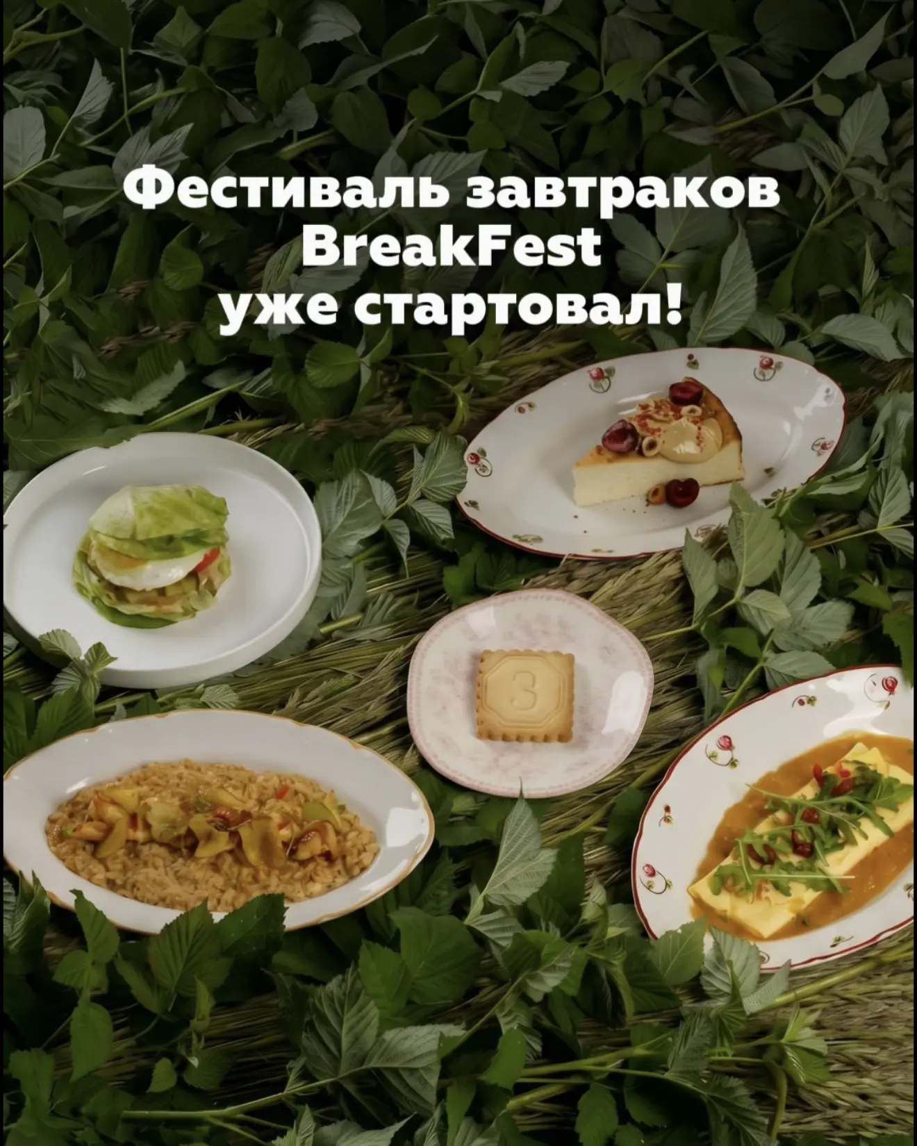 В «Земляне» бистро стартовал фестиваль завтраков BreakFest!
