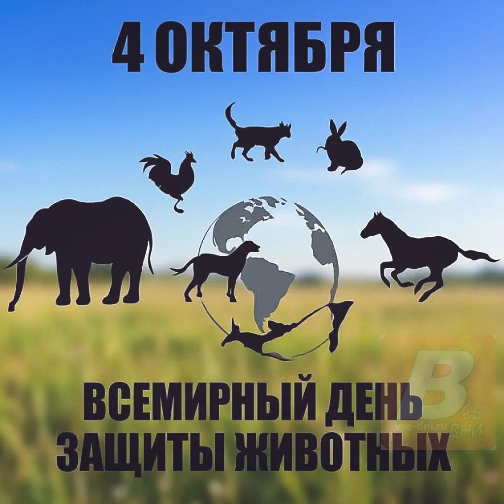 4 октября - День защиты животных.