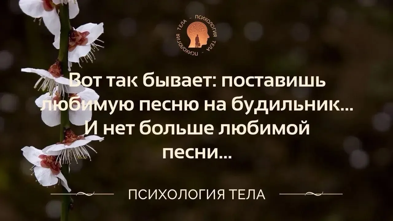 🤣