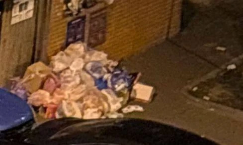 🗑️ На Вяземской снова переполнены баки