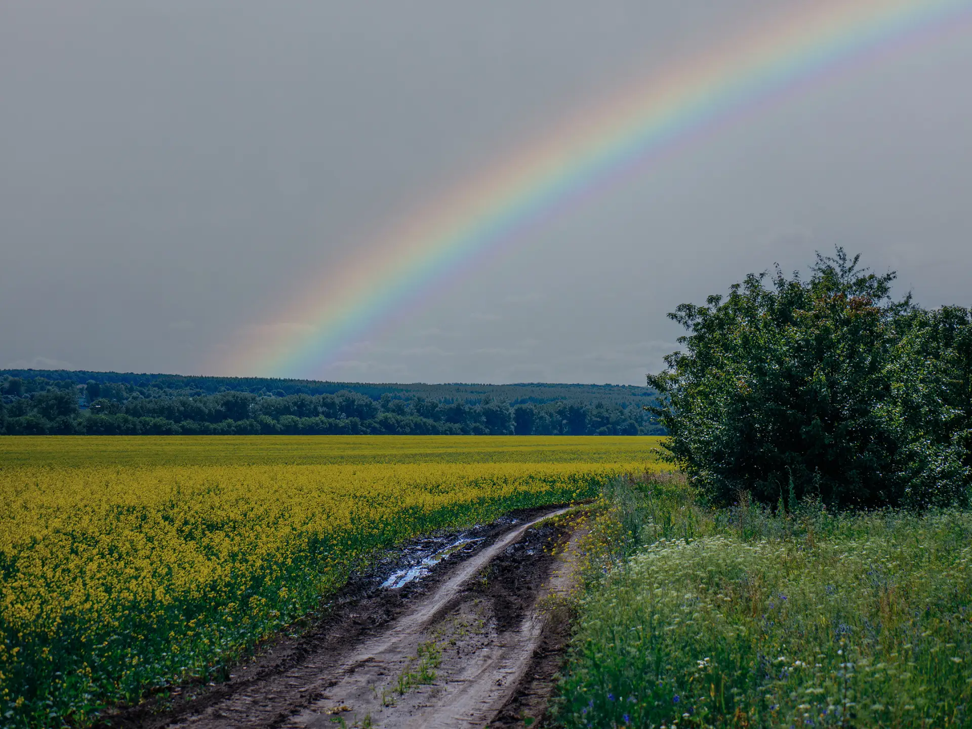 🌧 Дождались

В Задонск пришла долгожданная прохлада

Задонская правда | Наш чат ⚡️