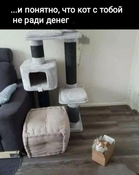 Наш телеграм: https://t.me/votetoprikol90