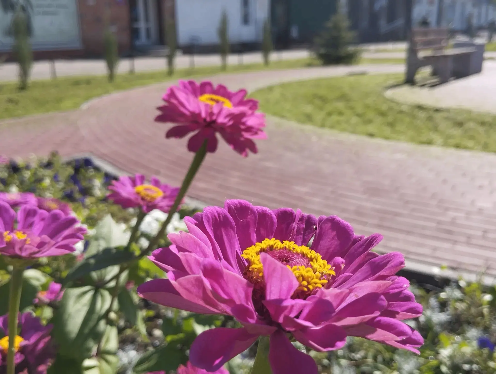 Летнее созерцание города🌸