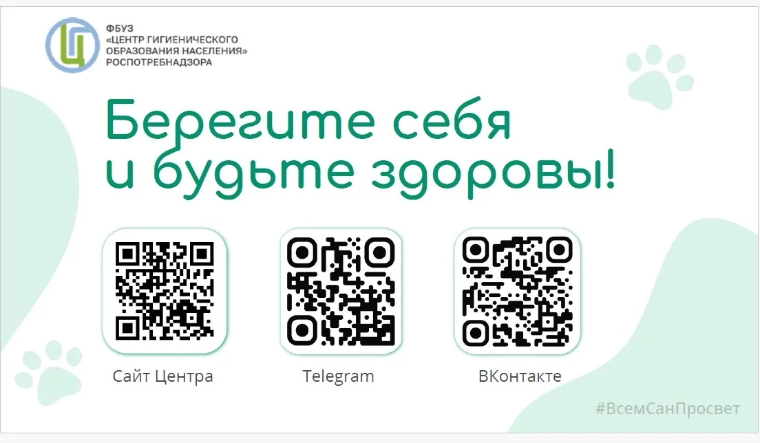 Прививки питомцам от бешенства Бешенство – неизменно смертельное вирусное заболевание для животных и