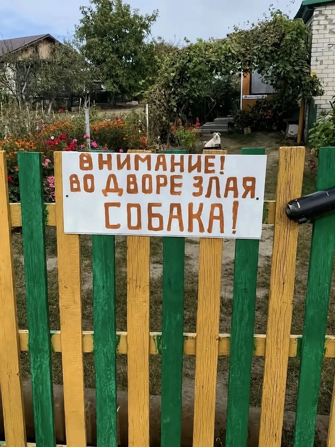 Минуточку внимания: