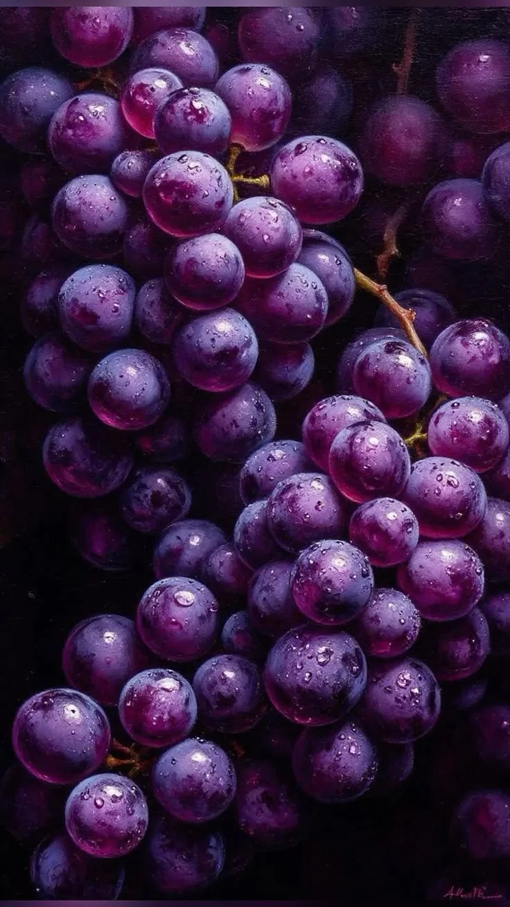 🍃🍇🍃🍇🍃🍇🍃🍇🍃🍇🍃🍇