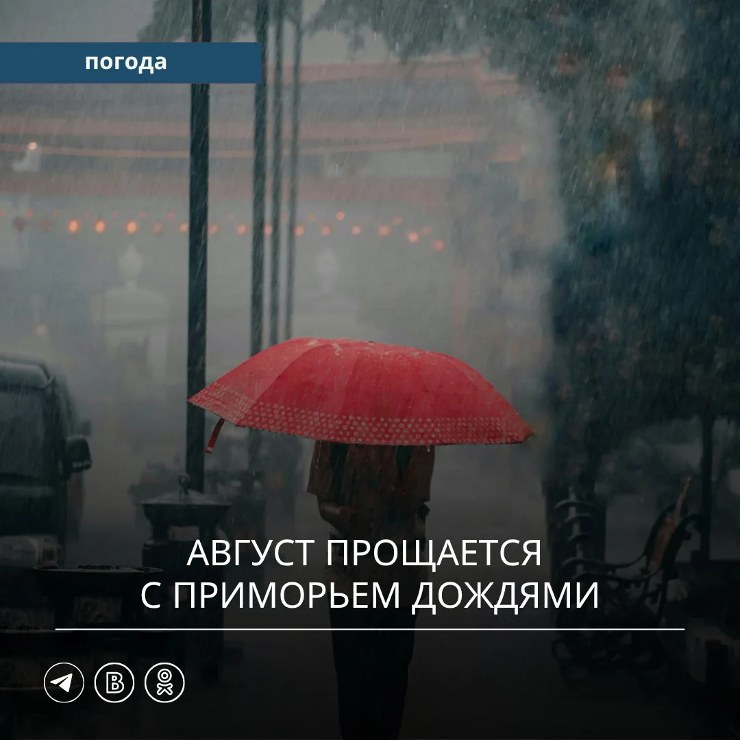 🌧️ В последние выходные августа погода в Приморском крае будет уже далеко не летней.