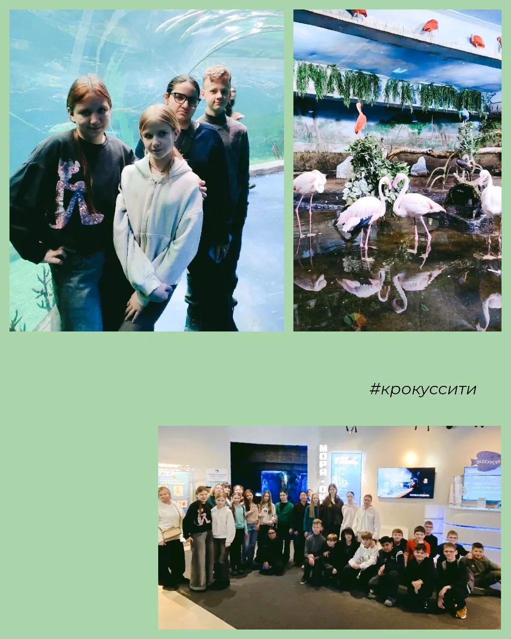Ученики 6 «А» класса побывали в Московском океанариуме в Крокус Сити   🔸️Рассказывает Екатерина Алек