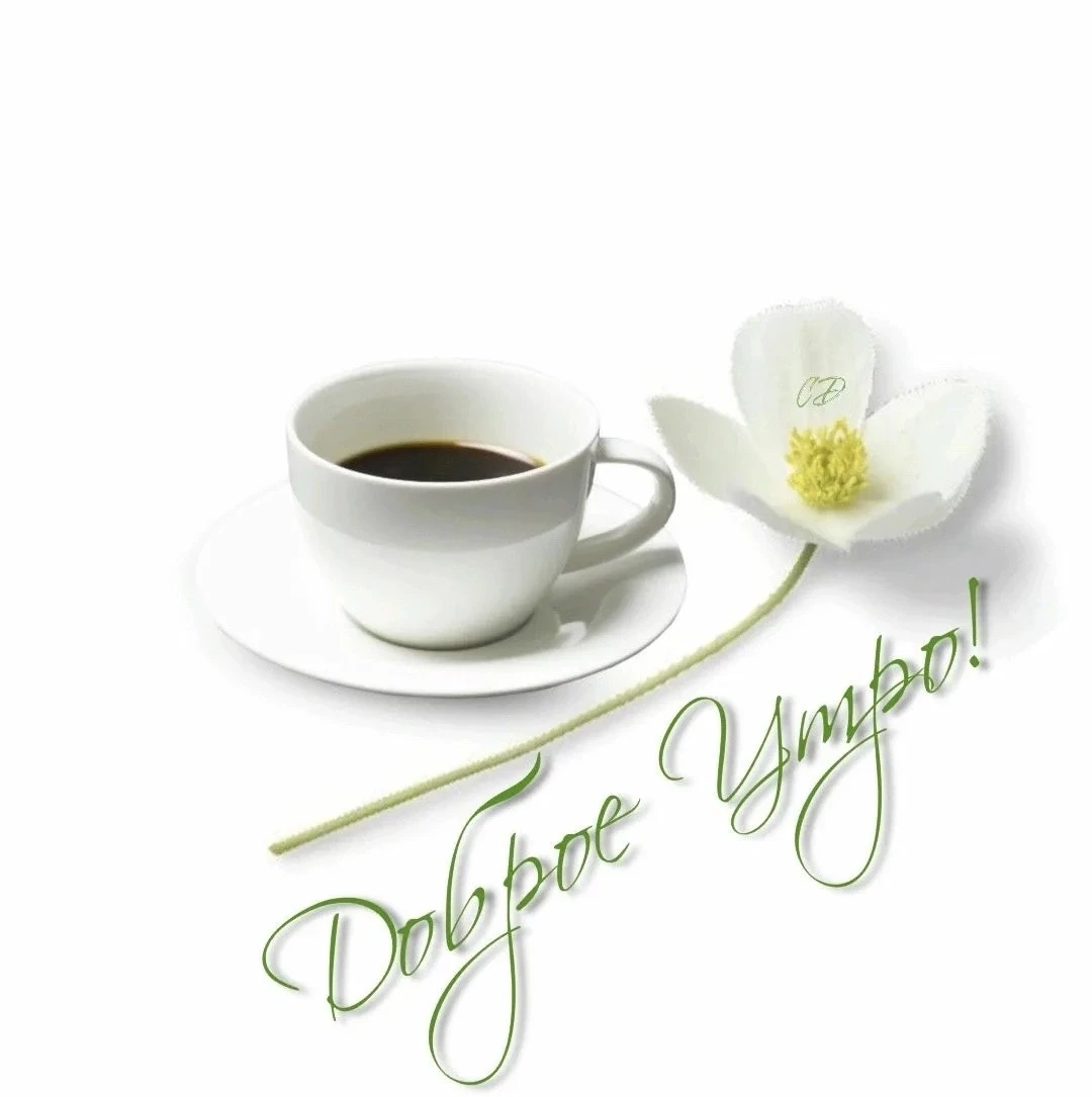 Доброе утро! Отличного всем воскресенья! 😇♥️💐