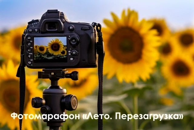 ✨Дорогие друзья! 
Администрация Сеймского округа приглашает Вас принять участие в фотомарафоне «Лето