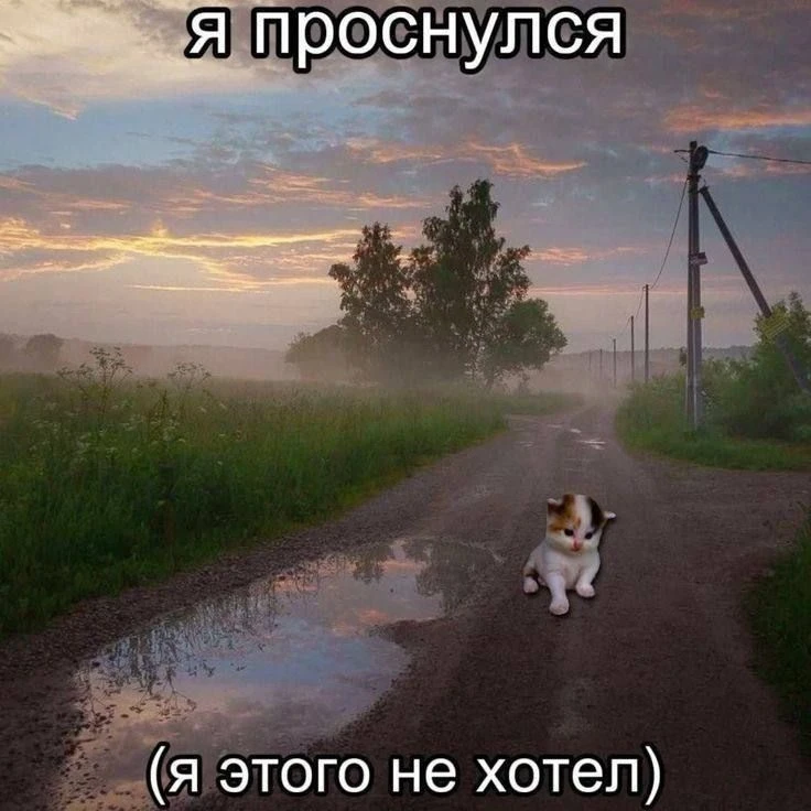 Ставь лайк! ❤️