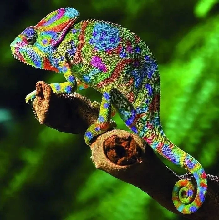 ⚠️ Осторожно, хамелеоны!🦎 4 английских слова, которые притворяются твоими друзьями
