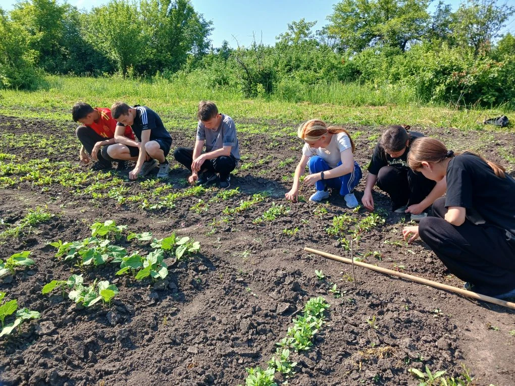 ✅️ВЕСТИ С ФАЗЕНД
🌾Агрофирма 9 класса "Алга" вместе с классным руководителем Савельчевой Л. С. труди