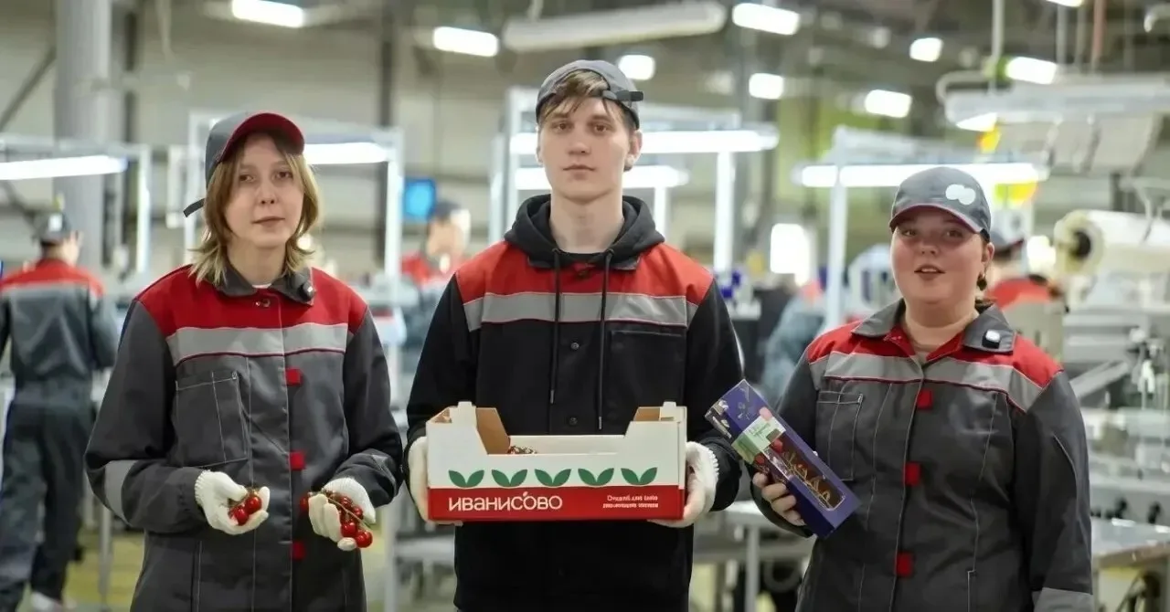 Заработать на черри! Электростальский школьники приняли участие в пилотном проекте агро...