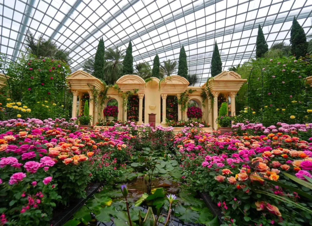 Купол Цветов, Сингапур 🇸🇬  🔹 Купол Цветов или Flower Dome - крупнейшая в мире стеклянная теплица, ра