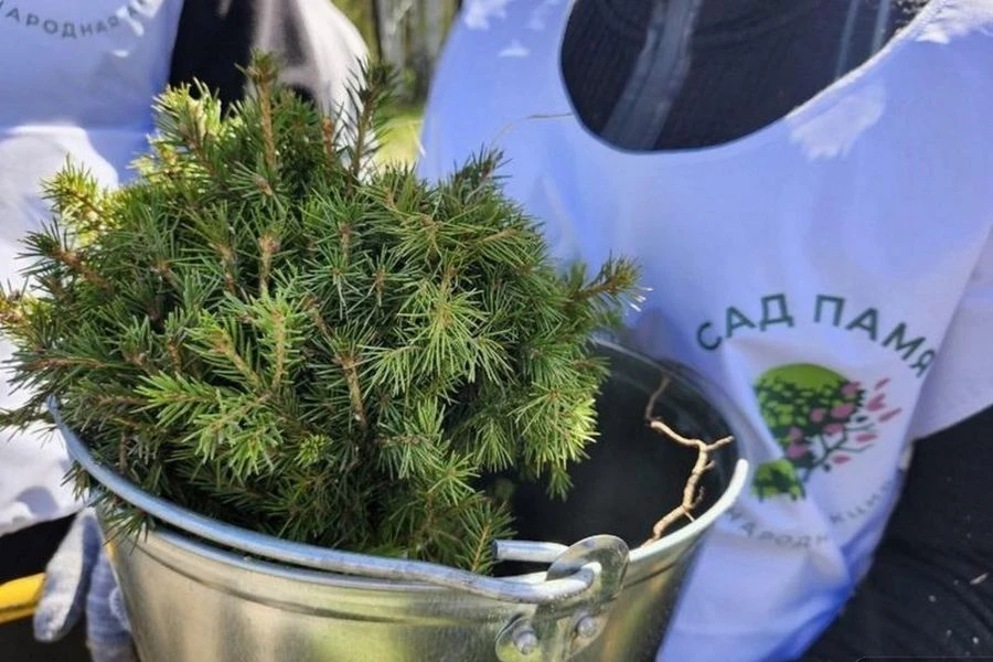 Всероссийская акция «Сад памяти» объединила жителей Свердловской области на 26 площадках по всему ре