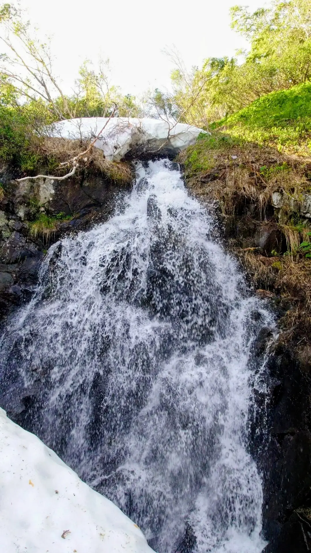 Фото