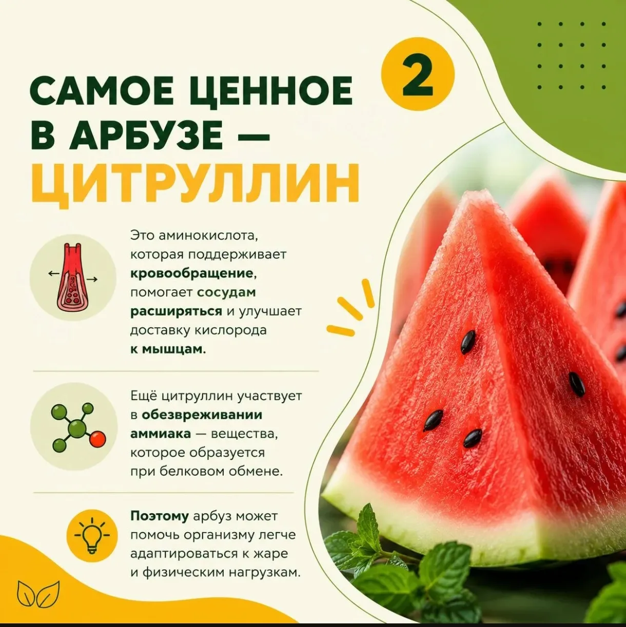 Арбуз. Обожаю😋😋😋