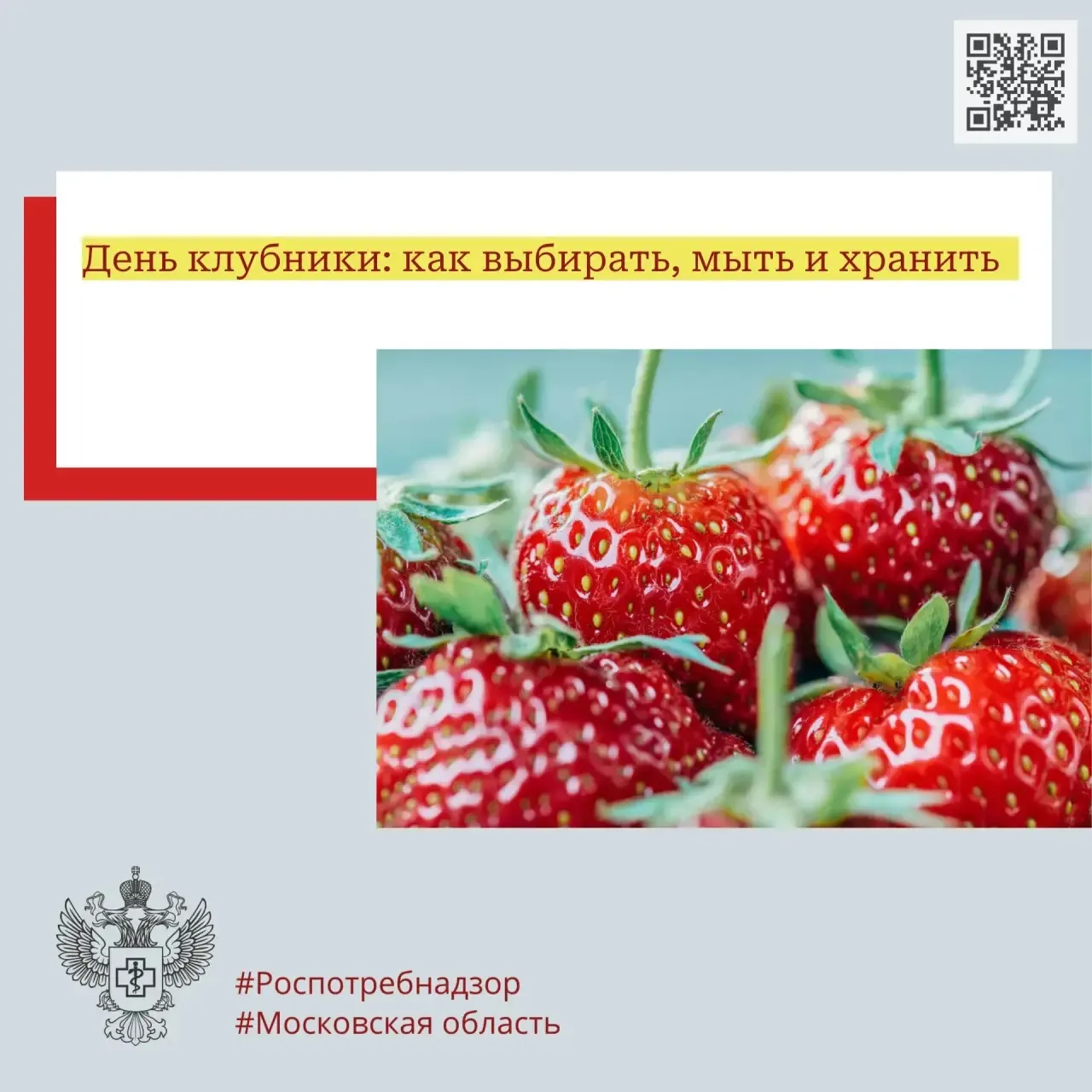 День клубники: как выбирать, мыть и хранить