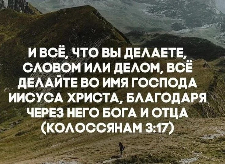 🕊🌿🕊🌿🕊🌿🕊🌿🕊