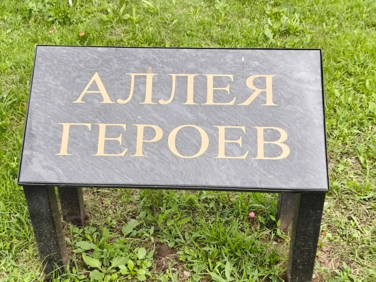 МИТИНГ КО ДНЮ ВЕТЕРАНОВ БОЕВЫХ ДЕЙСТВИЙ 

Сегодня на Северном Кладбище прошел митинг. Жители города,