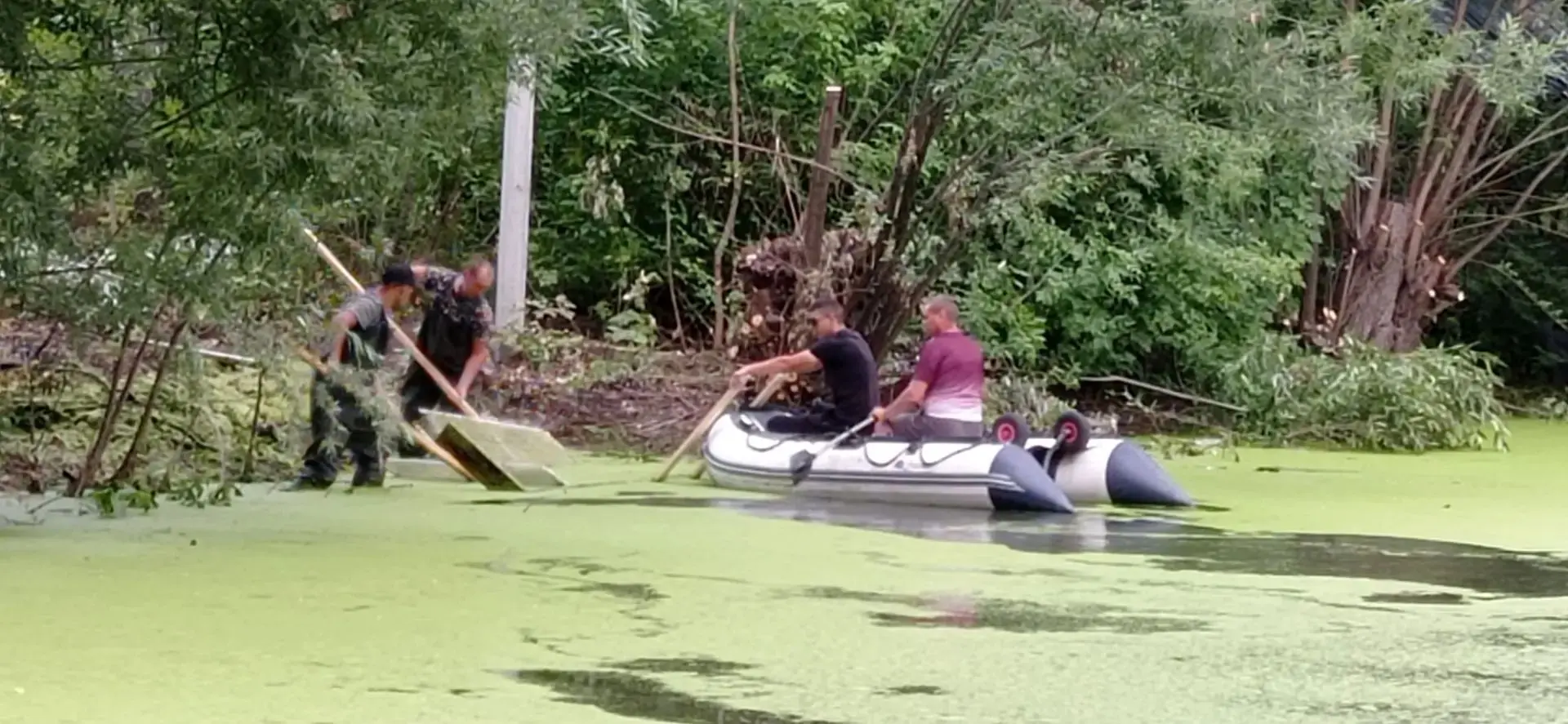 Начаты работы по расчистке водоёма в городской парковой зоне. 

Поверхность будет очищена от ряски, 