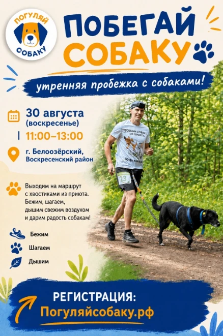 Как провести выходные с пользой?