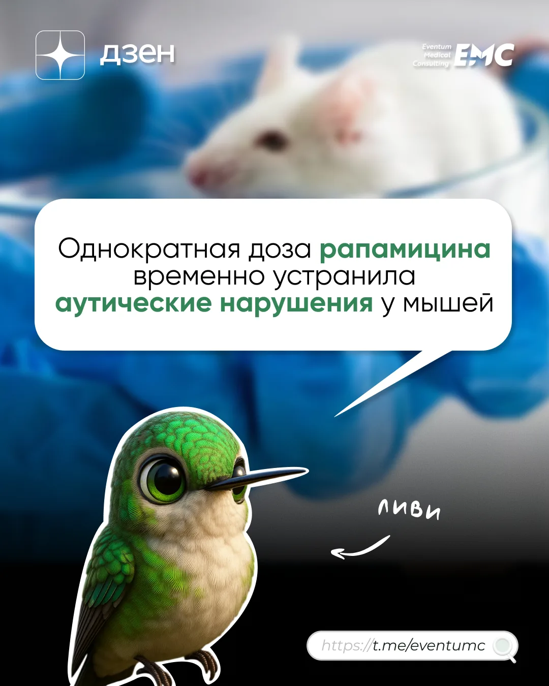 #статья #дзен