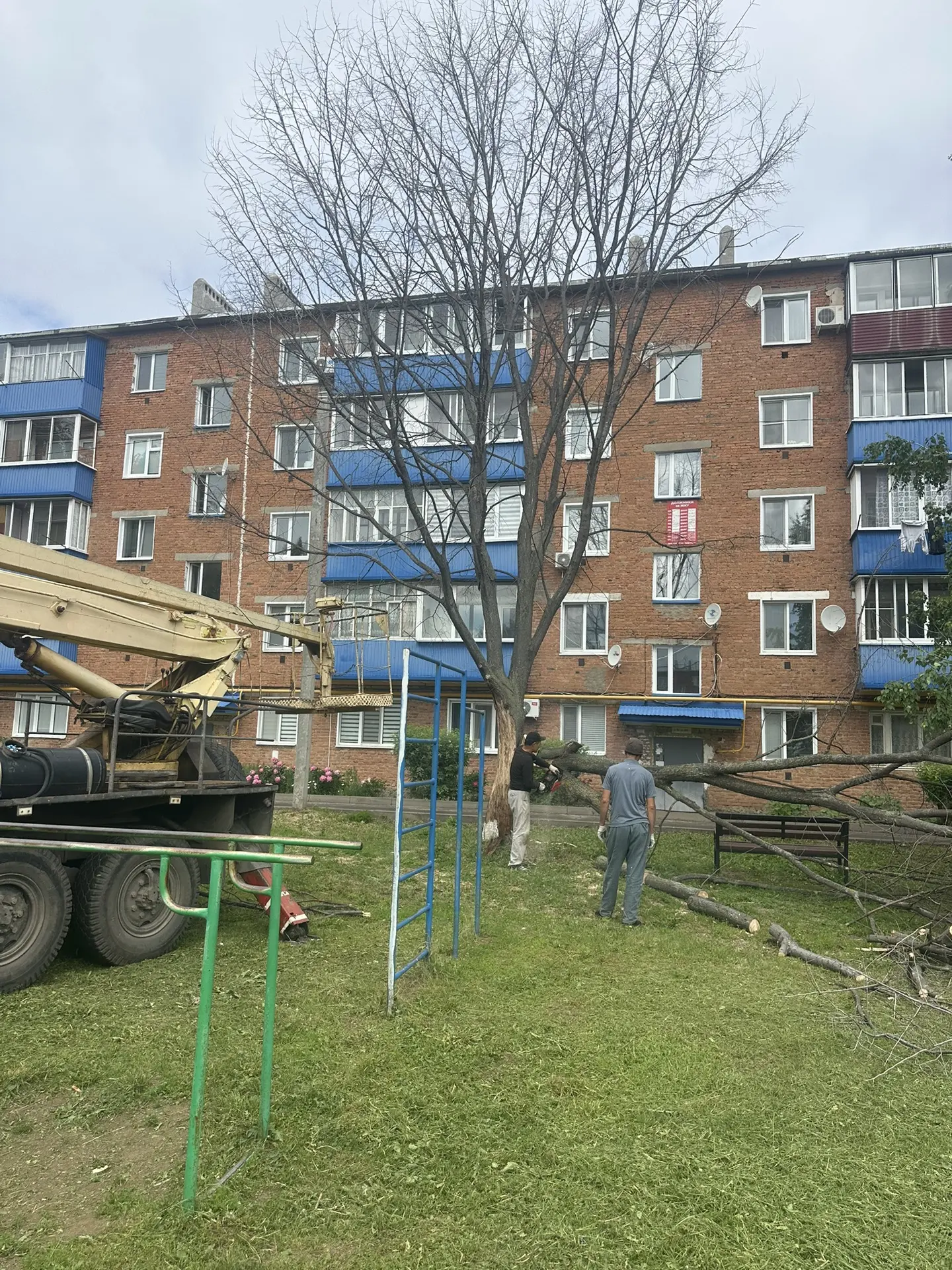 Мира 24 спил аварийного дерева и спил Тополя по заявлению жителей на имя Хаматова А. Р.