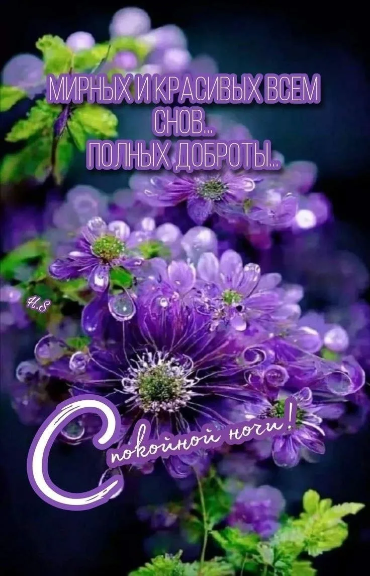 Открытки и приколы 🌸