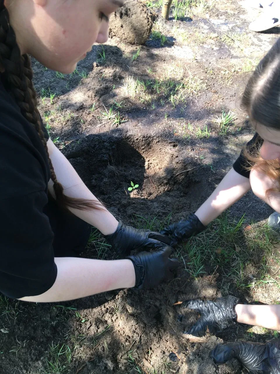 🌱ЮННАТЫ ПЕРВЫХ В ПЕРВОЙ🌱

🌳В День эколога (5 июня), на территории нашей школы произошло по‑настоя