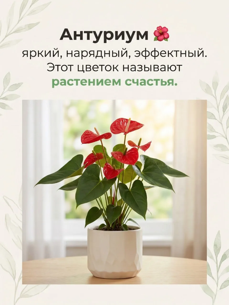 Что подарить на 8 марта? Подарок, который будет радовать годами! 🌸  Букет цветов — это классика, но,