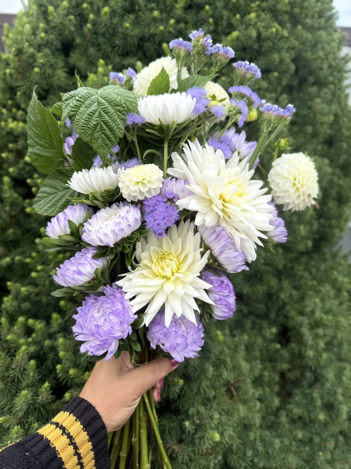 Свежо, воздушно и очень стильно ✨
