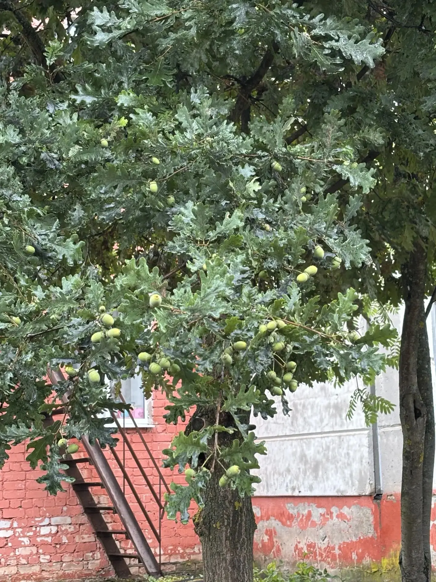 Тематическая неделя "В гостях у природы"