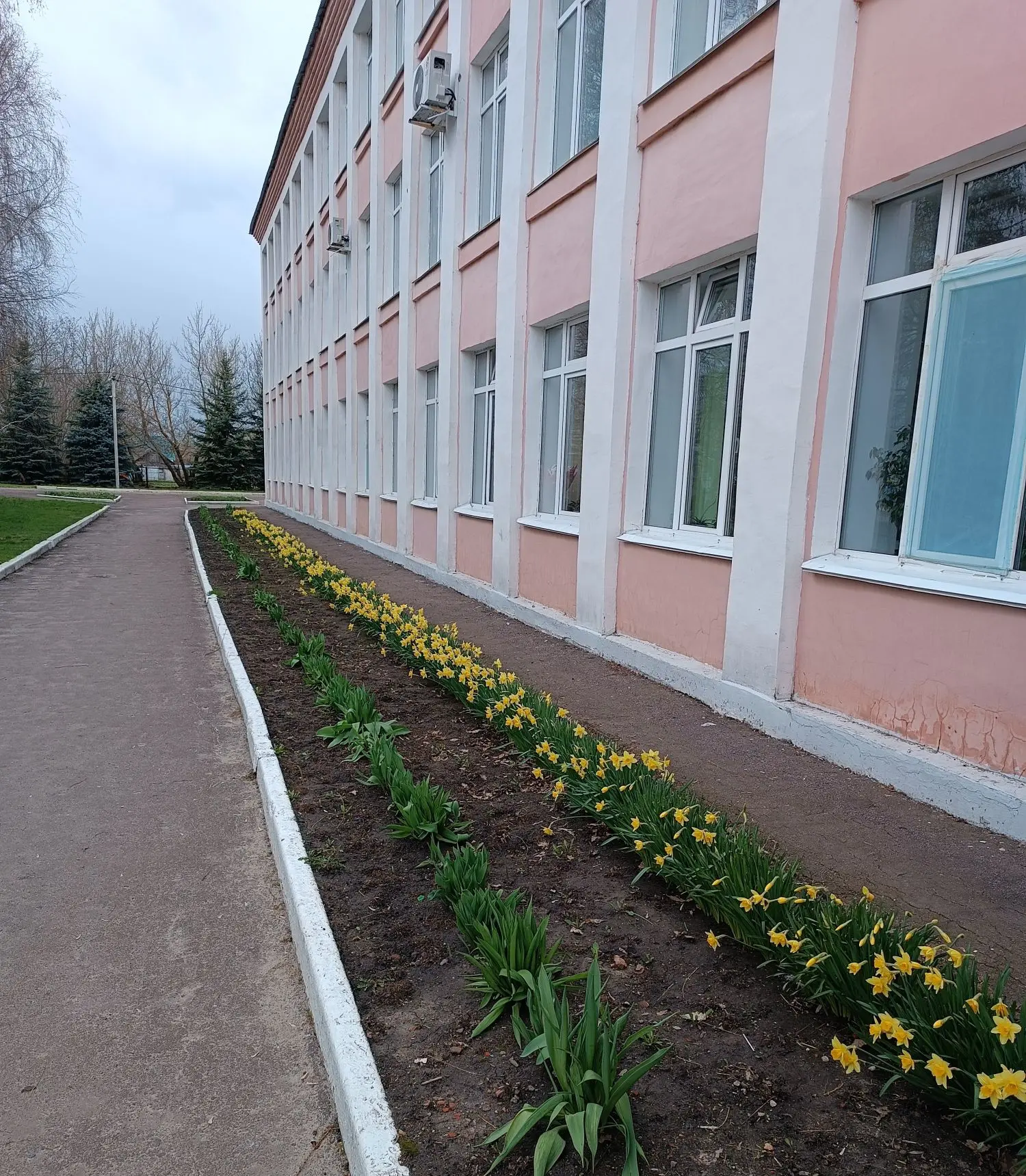 🧤🧹🍃 Весна - это не только время пробуждения природы, но и пора наведения чистоты и порядка.   🌞В МБО