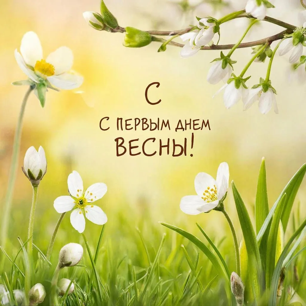 С первым днём весны! 🌷🌿 Время сбрасывать тяжёлые пуховики и заряжать внутренние батарейки. Пусть это