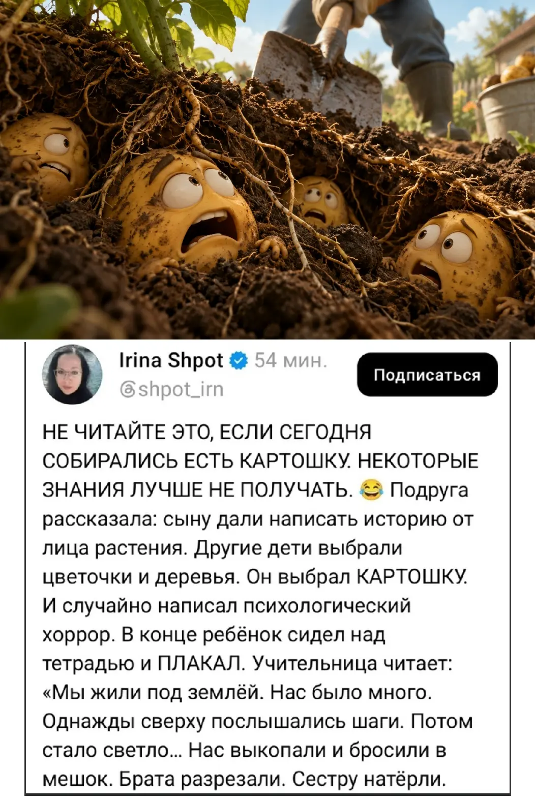 😄 Ребёнок решил написать сочинение от лица картошки