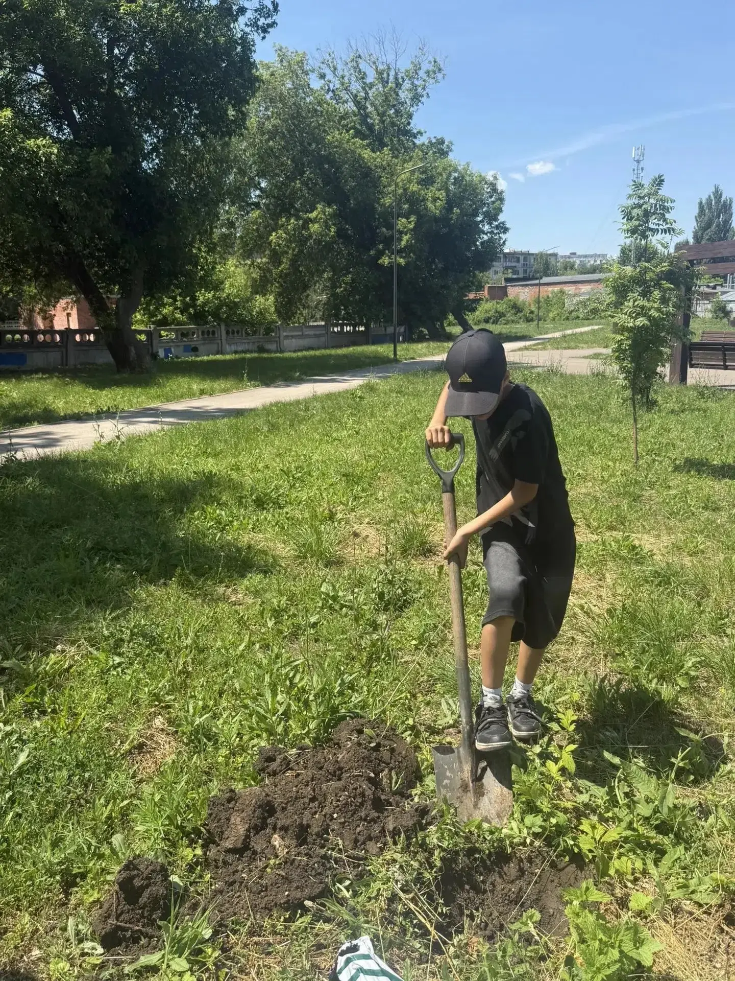 Посадка кедра в школе в честь Дня России.

В преддверии главного праздника страны в МАОУ СОШ № 3 сос