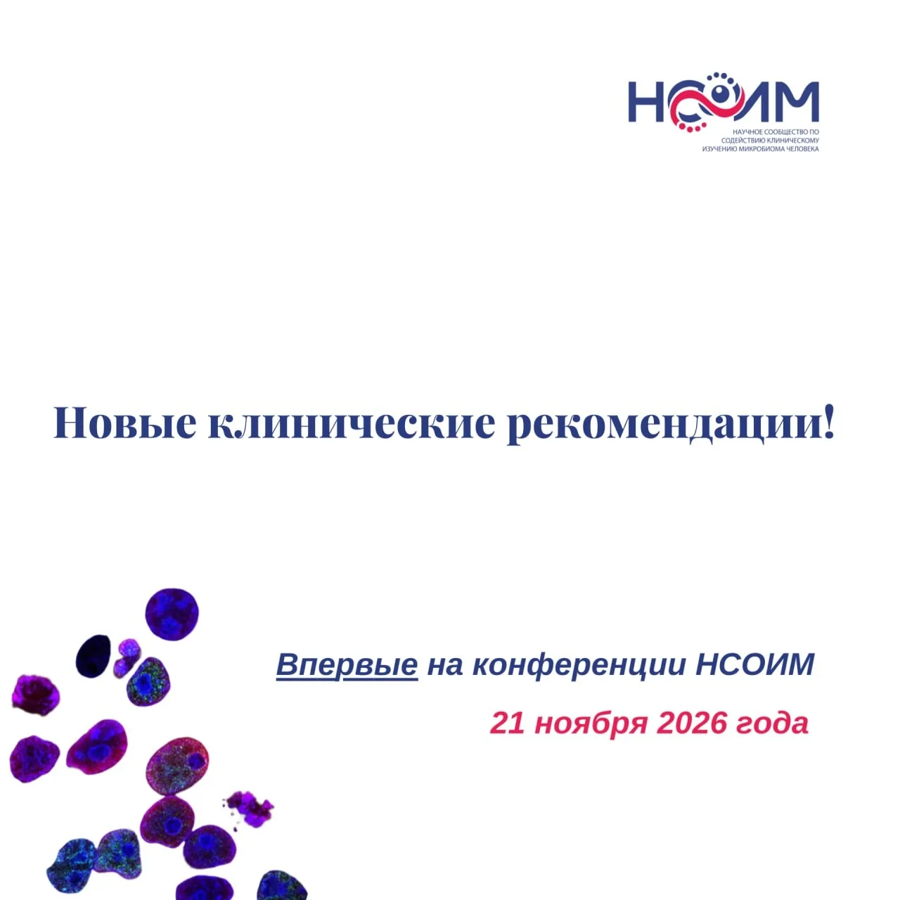 Дорогие коллеги!