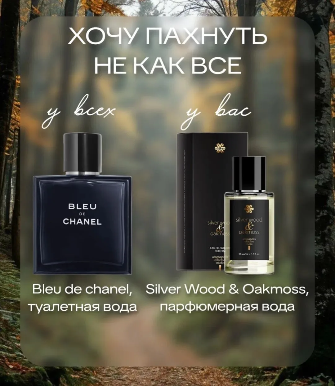 Silver Wood & Oakmoss