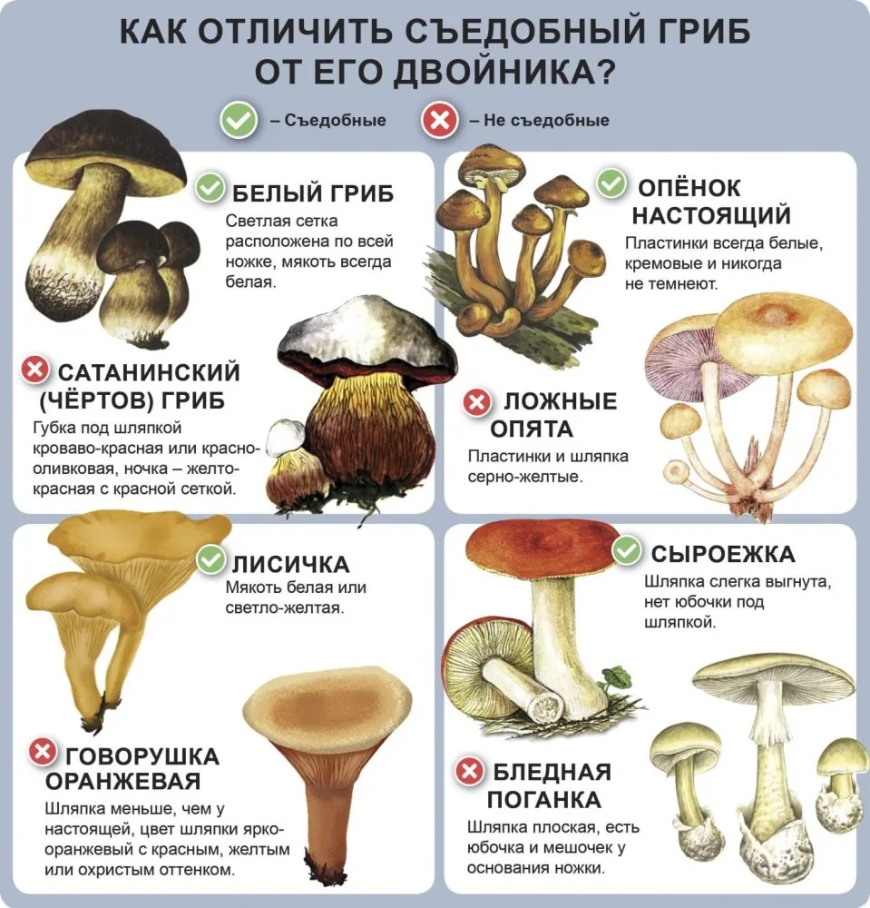 УВАЖАЕМЫЕ РОДИТЕЛИ

Лето-врямя прогулок в городе и на природе. Вы всегда должны знать, где проводят 