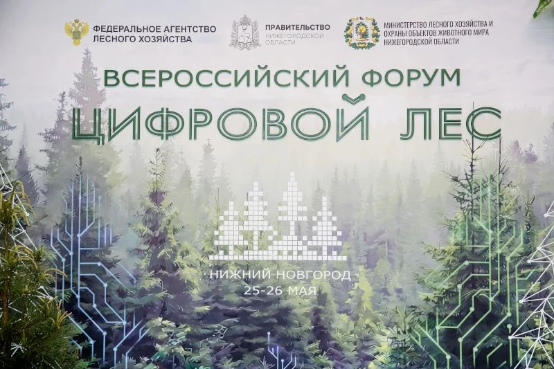 Сотрудники министерства приняли участие в работе VI Всероссийского форума "Цифровой лес...