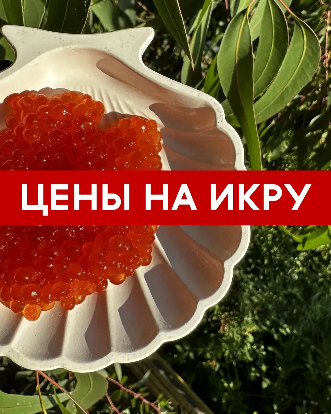 ❤️ВНИМАНИЕ, ИКОРНОЕ ПОСТУПЛЕНИЕ! 😍

Главная новость этой недели — ПРИЕХАЛА ДОЛГОЖДАННАЯ ИКРА КЕТЫ 2