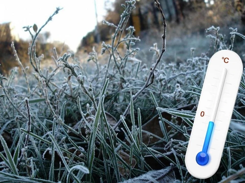 ❄️ «Лето сбавляет обороты»: в Удмуртии к концу недели — заморозки! ❄️