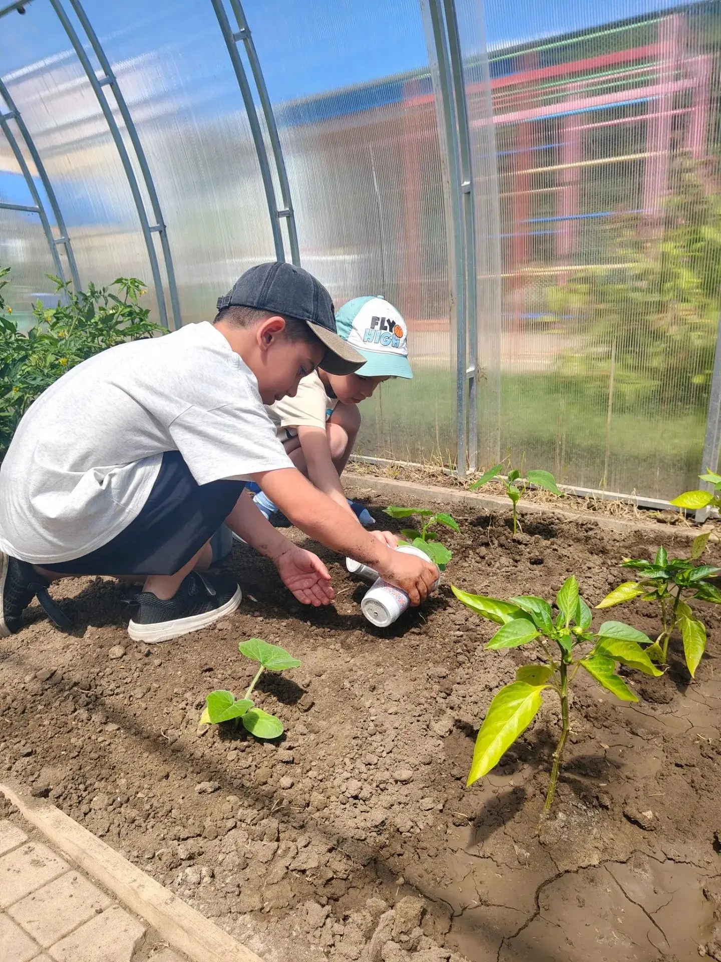 Огурчики в теплицу, цветы на клумбу! 🌱🌼
Сегодня наши подготовишки превратились в настоящих юных аг