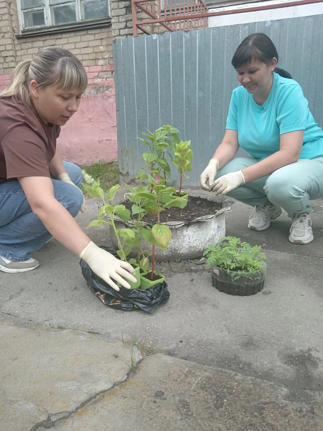 Создаём красоту не только в кабинетах, но и вокруг ЦДО 🌸 🌸 🌸